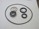 29112 Waterman Service Kit, Rear Bearing, Clips -Seals-O Ring   Waterman Lil Bertha - NITRO
